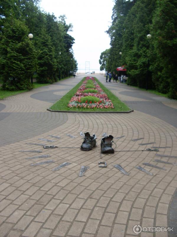 Зеленогорск санкт петербург парк. Зеленогорск Центральный парк. Парк в Зеленогорске Ленинградской. Зеленогорск парк культуры. ЦПКИО Зеленогорск.