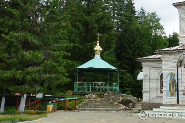 Святой Оковецкий источник Тверская область