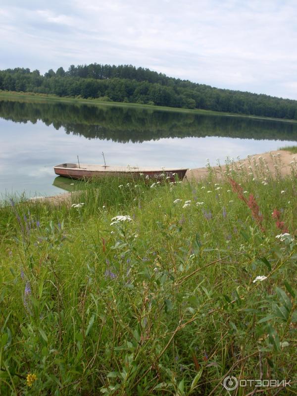 Деревня мерево лужский