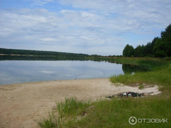 Деревня мерево лужский