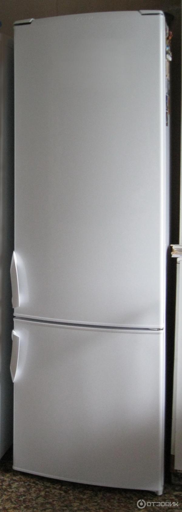 Холодильник Gorenje RK 41200 W фото