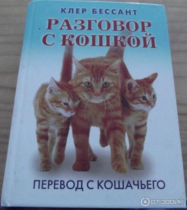 Приложение для разговора с кошкой. Книги о котах. Книга язык кошек. Словарь кошачьего языка книга. Книги про кошек.