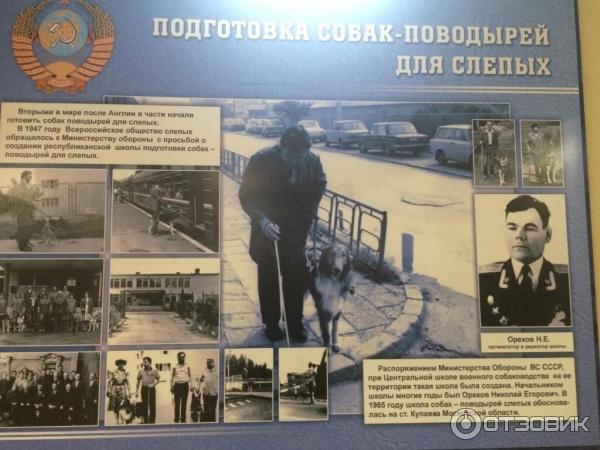 Методико-кинологический центр Красная звезда (Россия, Дмитров) фото