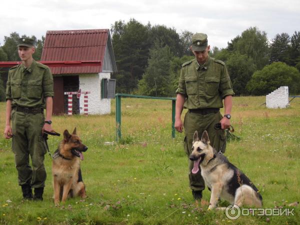 Методико-кинологический центр Красная звезда (Россия, Дмитров) фото