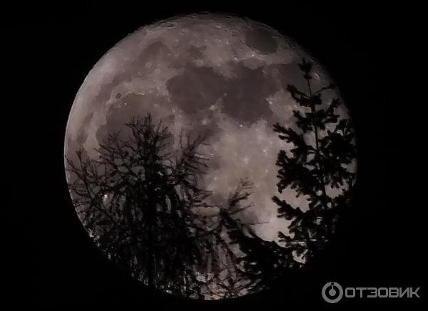 Цифровой фотоаппарат Canon PowerShot SX510 HS