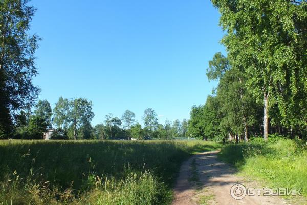 Цифровой фотоаппарат Canon PowerShot SX510 HS