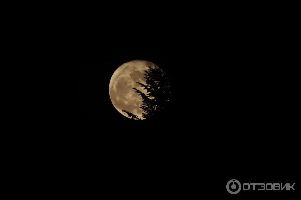 Цифровой фотоаппарат Canon PowerShot SX510 HS