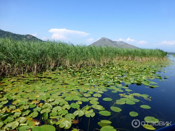 Республика Черногория фото