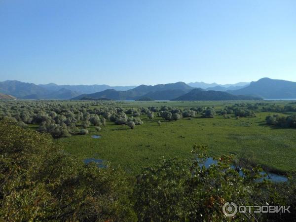 Скадарское озеро (Черногория) фото