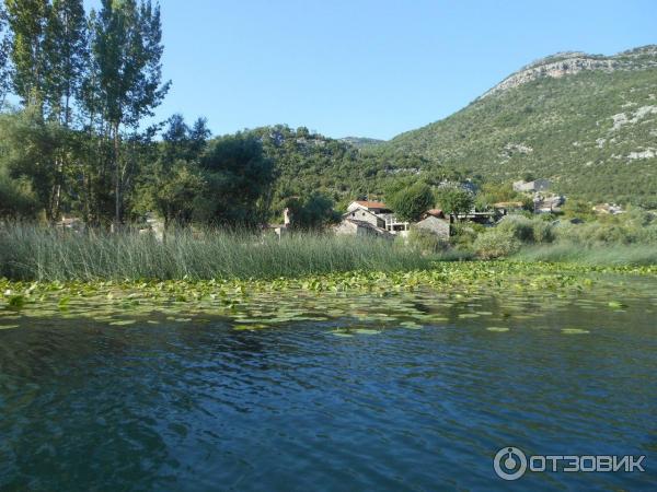 Скадарское озеро (Черногория) фото