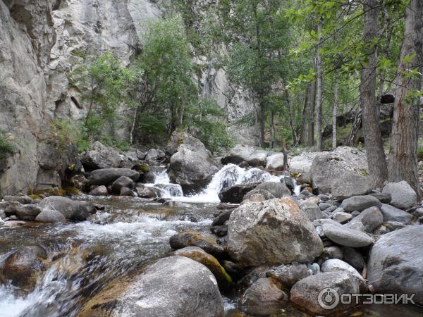 Урочище Аккорум (Россия, Алтай) фото