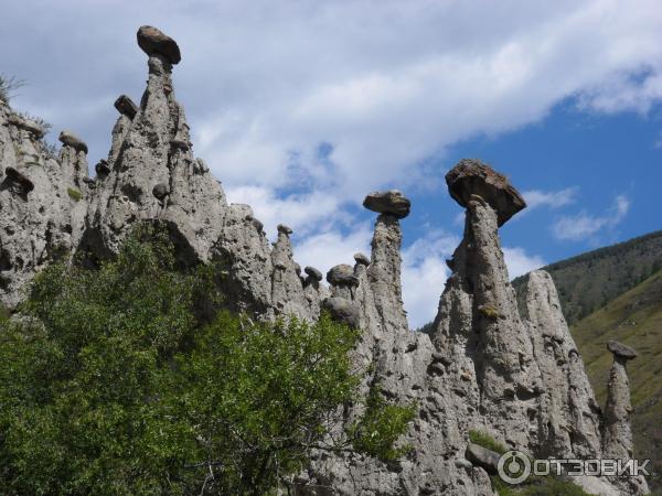 Урочище Аккорум (Россия, Алтай) фото