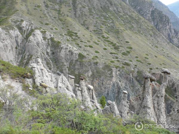 Урочище Аккорум (Россия, Алтай) фото