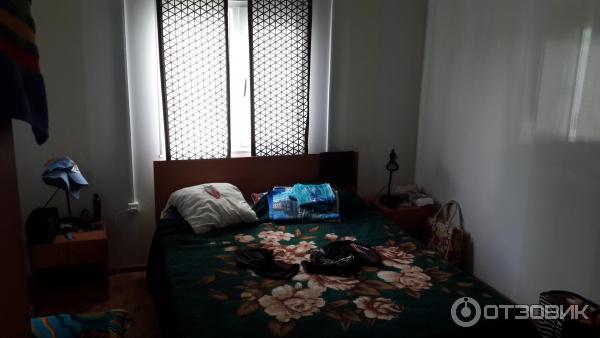 База отдыха Южная пальмира фото