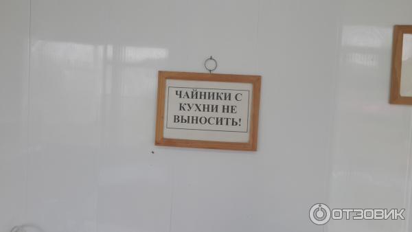 База отдыха Южная пальмира фото