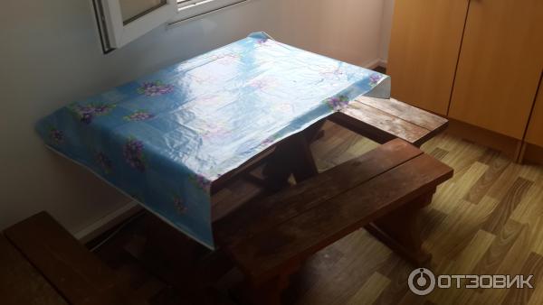 База отдыха Южная пальмира фото