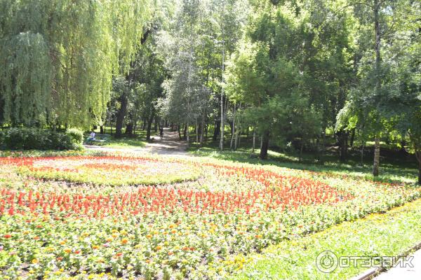 Ессентуки отзывы