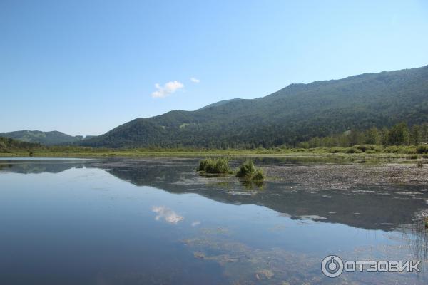 Путешествие по Горному Алтаю (Россия, Алтай) фото