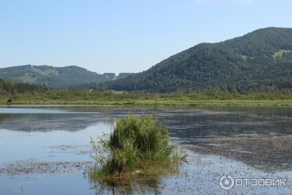 Путешествие по Горному Алтаю (Россия, Алтай) фото