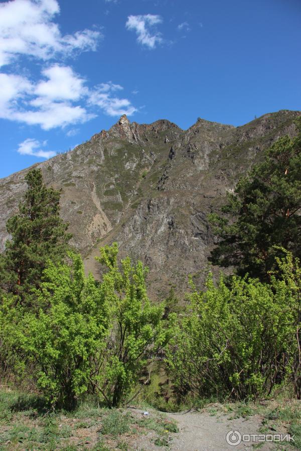 Путешествие по Горному Алтаю (Россия, Алтай) фото