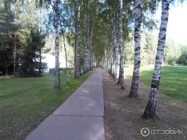 Санаторий Зеленый городок (Россия, Московская область) фото