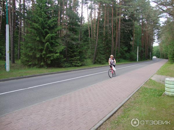 ТК Нарочь (Беларусь, Минская область) фото