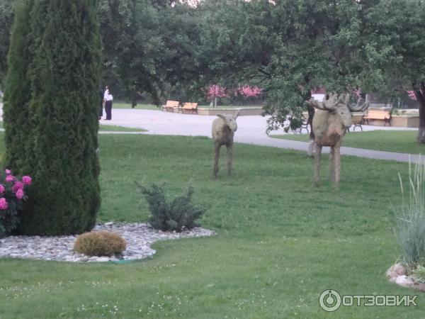 ТК Нарочь (Беларусь, Минская область) фото