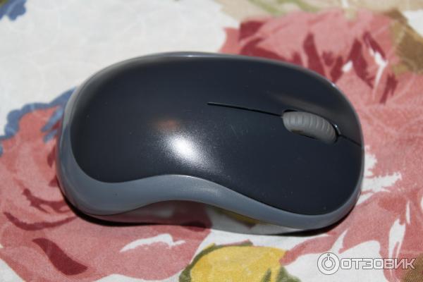 Беспроводная мышь Logitech Wireless Mouse M185 фото