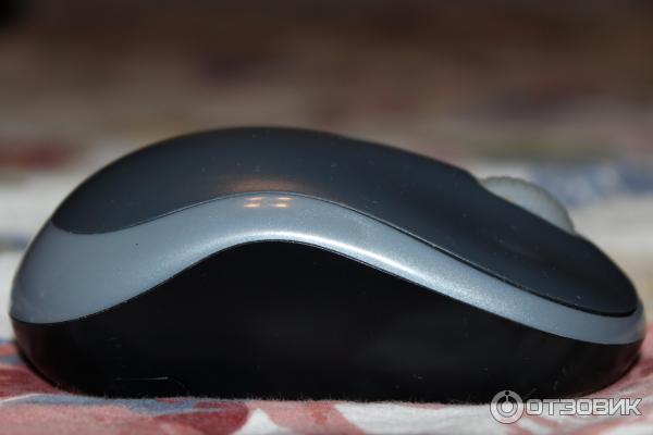 Беспроводная мышь Logitech Wireless Mouse M185 фото