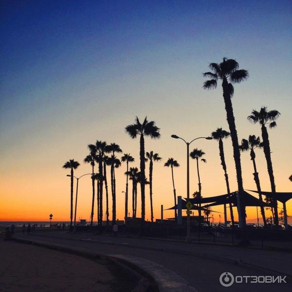 Пляж Venice Beach (США, Калифорния) фото