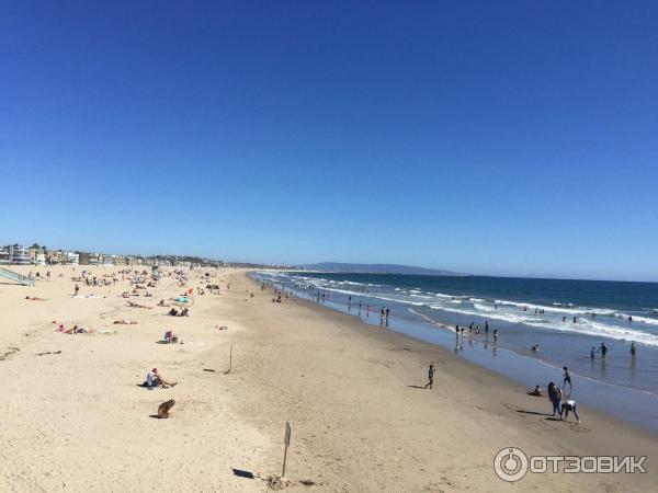 Пляж Venice Beach (США, Калифорния) фото