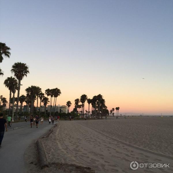 Пляж Venice Beach (США, Калифорния) фото