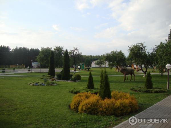 Санаторий Приозерный в пос. Нарочь (Белоруссия, Минская область) фото