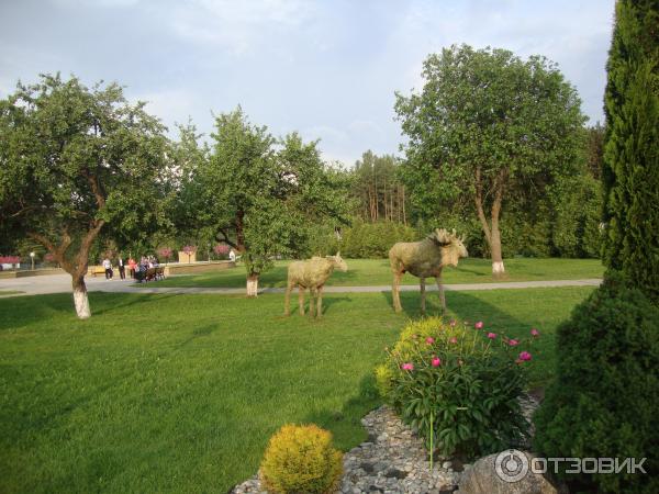 Санаторий Приозерный в пос. Нарочь (Белоруссия, Минская область) фото