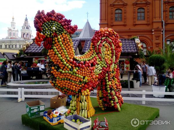 Фестиваль Московское варенье 2015 (Россия, Москва) фото