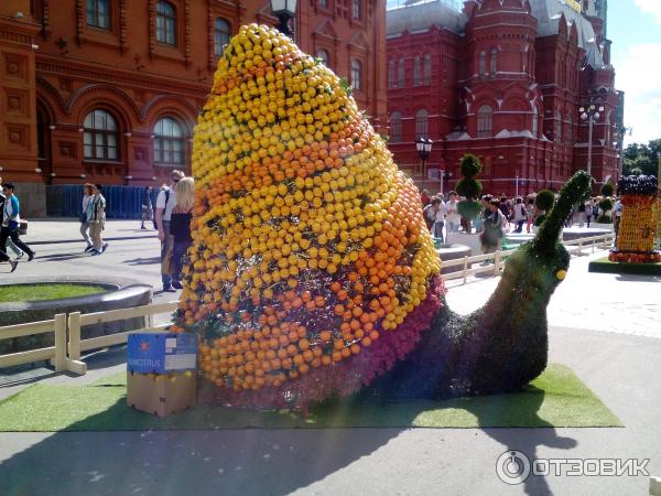 Фестиваль Московское варенье 2015 (Россия, Москва) фото