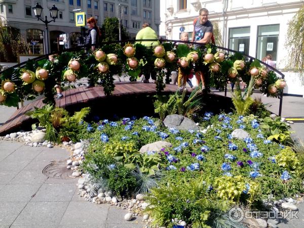 Фестиваль Московское варенье 2015 (Россия, Москва) фото