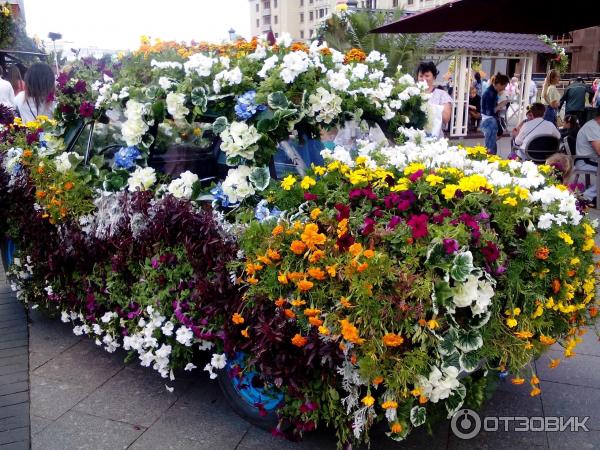 Фестиваль Московское варенье 2015 (Россия, Москва) фото