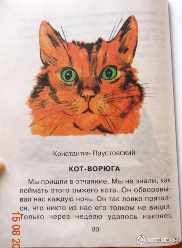 История слова кот. Книга кот ворюга Паустовский. Кот ворюга рассказ Константина Паустовского. Рассказ про кота ворюгу 3 класс. Кот-ворюга Паустовский 3 класс.