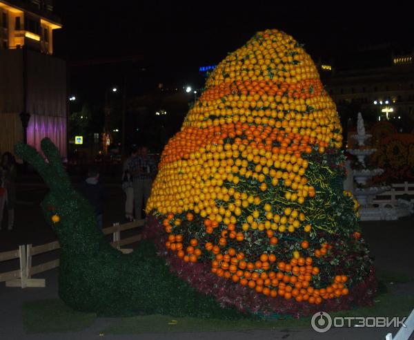 Фестиваль Московское варенье 2015 (Россия, Москва) фото