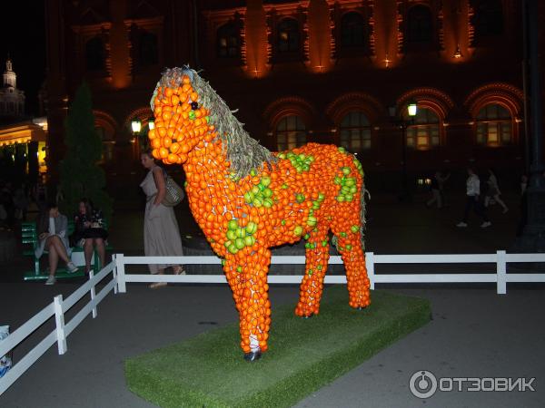 Фестиваль Московское варенье 2015 (Россия, Москва) фото