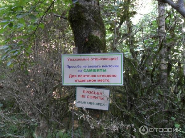 Экскурсия на горную речку и водопады (Абхазия, Черниговка) фото