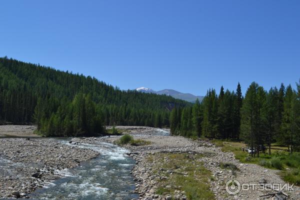 Отдых в Улаганском районе Горного Алтая фото