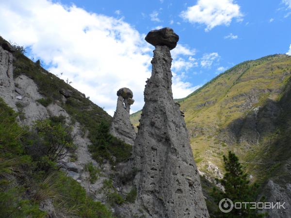 Отдых в Улаганском районе Горного Алтая фото