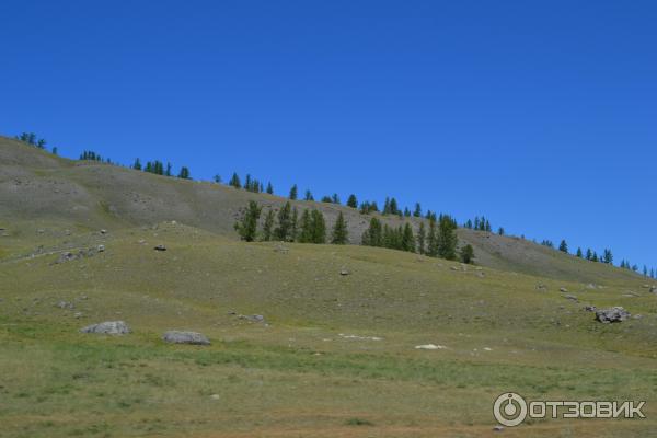 Отдых в Улаганском районе Горного Алтая фото