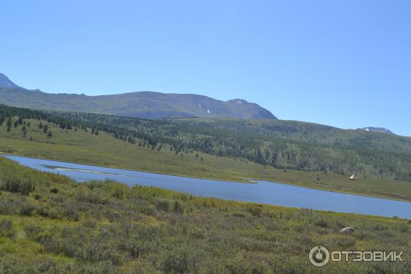 Отдых в Улаганском районе Горного Алтая фото