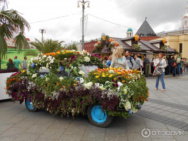 на фестивале варенья Московское лето