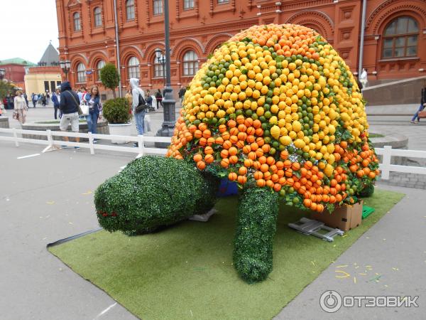 на фестивале варенья Московское лето