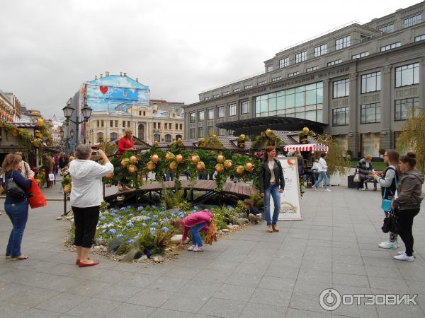 на фестивале варенья Московское лето