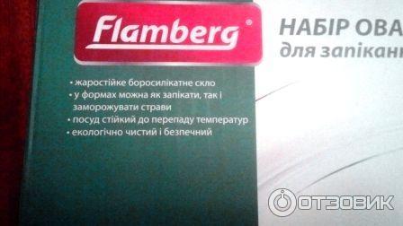 Набор овальных форм для запекания из жаропрочного стекла Flamberg фото